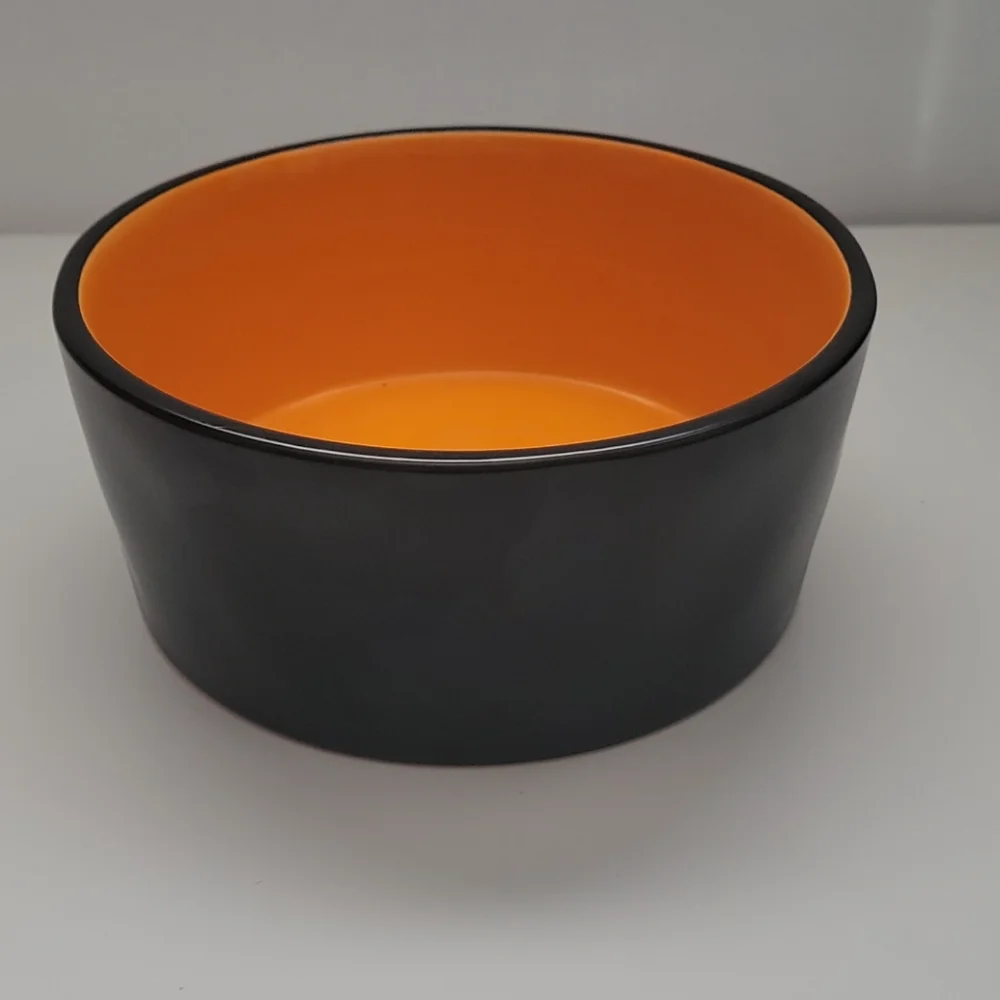 Rae Dunn Large Hocus Pocus Dog Bowl